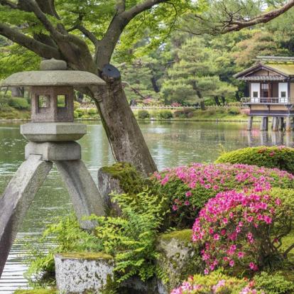 Voyage au Japon : Couleurs d'Automne